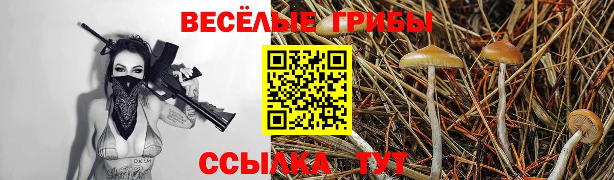 Вязники  Галлюциногенные грибы Psilocybe  купить наркоту  Псилоцибиновые грибы мицелий  Вход с VPN 